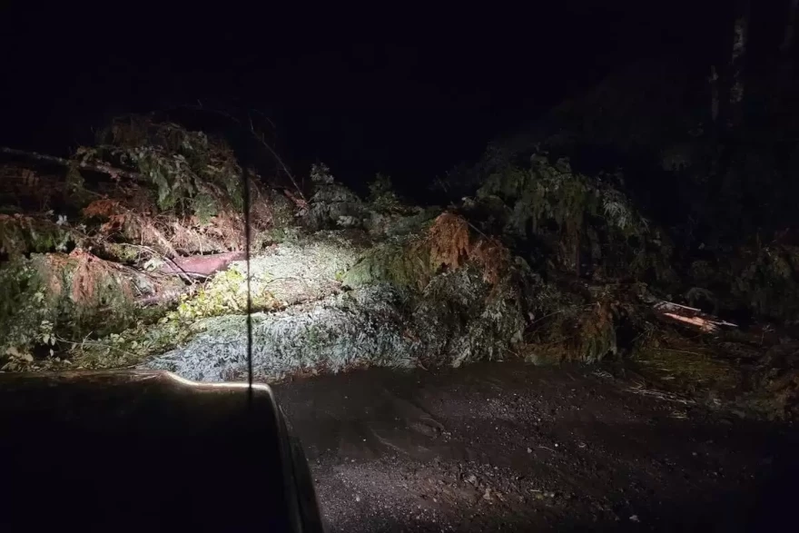 Ketchikan-area landslide strands multiple people along remote road